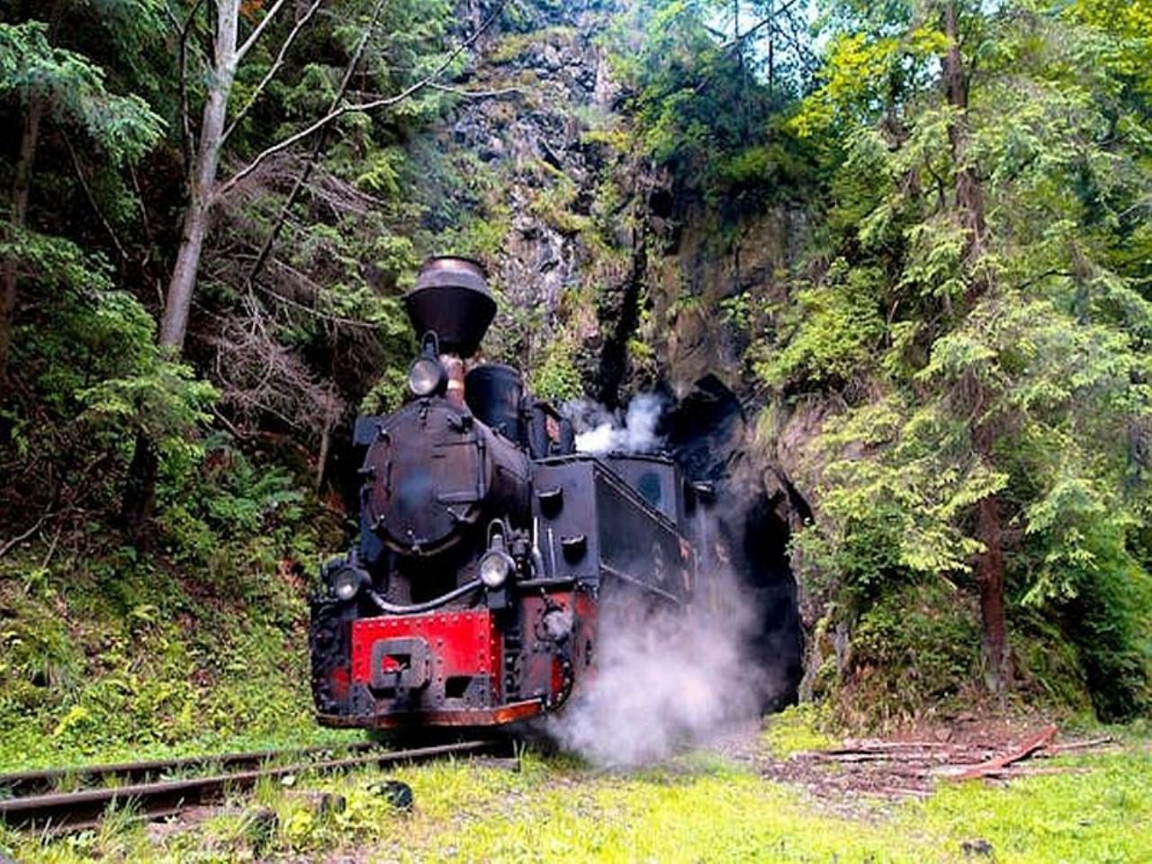 Specialist Tours, holidays 21