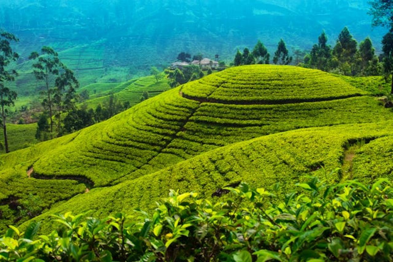 Specialist Tours, holidays 15