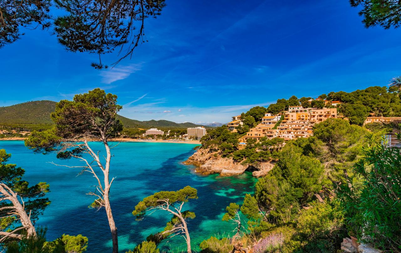 Majorca tsunami news