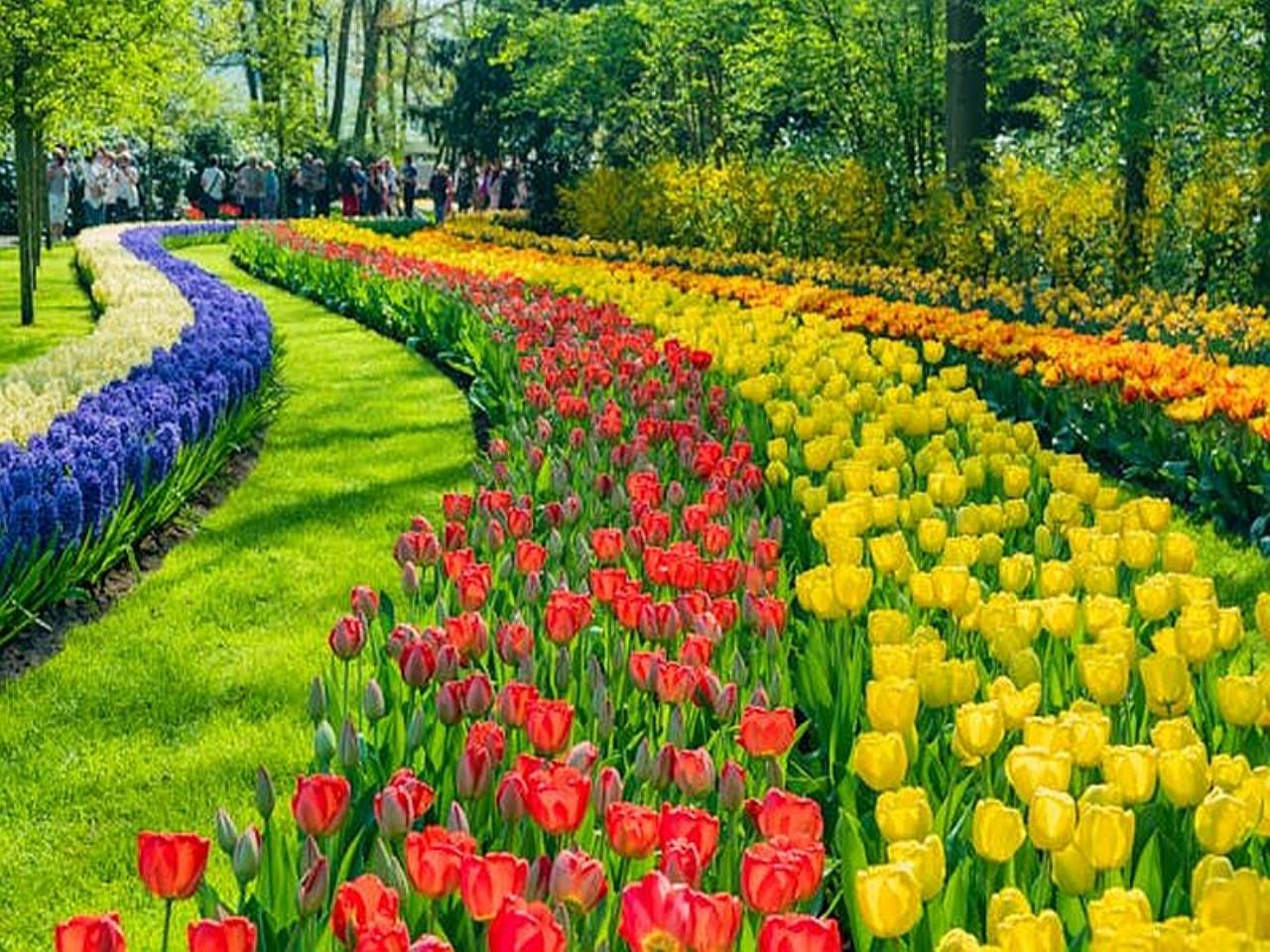 No-Fly River Cruises, holidays 20